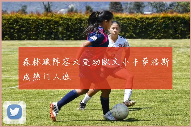 森林狼阵容大变动欧文小卡萨格斯成热门人选