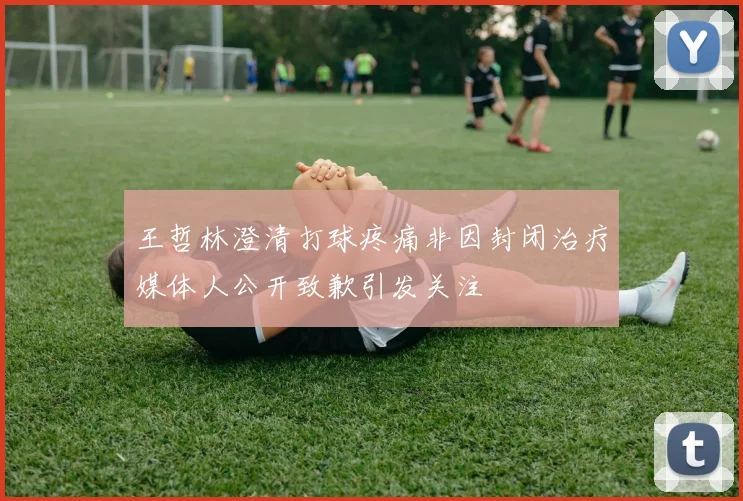 王哲林澄清打球疼痛非因封闭治疗媒体人公开致歉引发关注